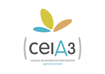 CEIA3: Convocatoria de ayudas para la realización de Trabajo Fin de Máster en empresas para el curso 2024/2025